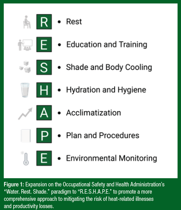 SSE 265 Figure 1
